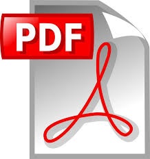 image of pdf file